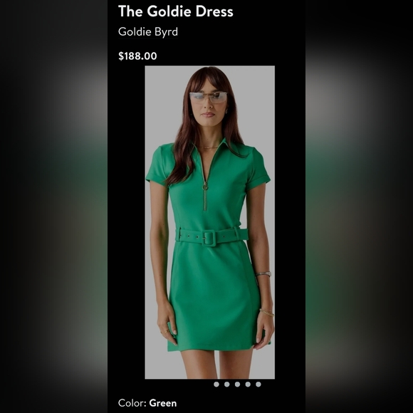 The Goldie Dress By Goldie Byrd Kelly Green Front Zip Golf Dress - Picture 3 of 7